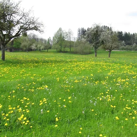 Appartamento Claudis Ferienhaeusle *
